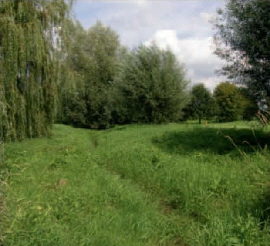 Kettbach