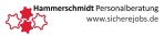 Logo Hammerschmidt Personalberatung klein